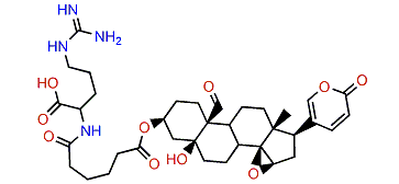 3-(N-Adipoyl argininyl)-bufotalin